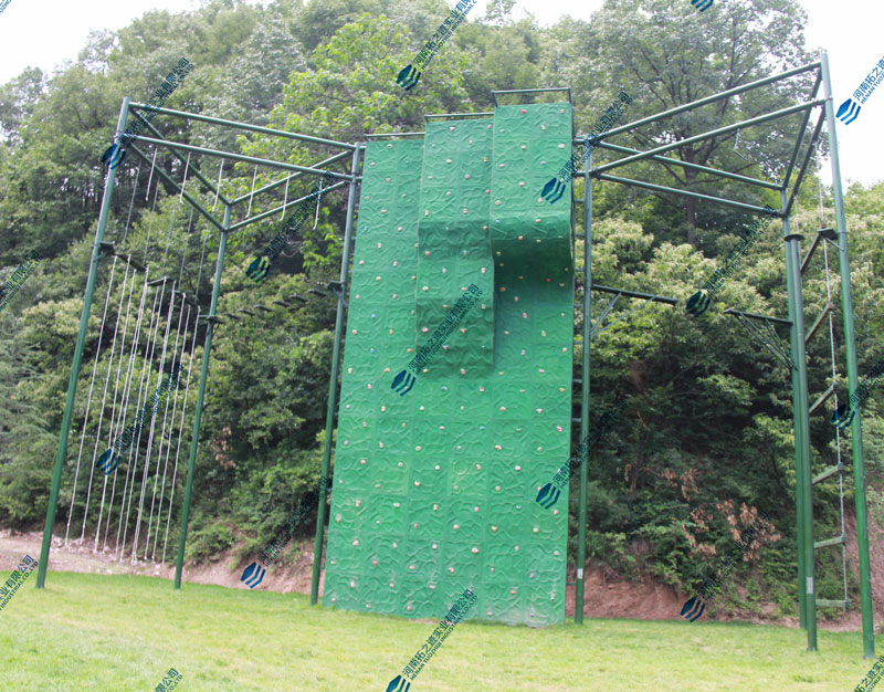 1606640120580068.jpg 800.jpg